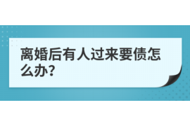 财税公司催收欠款：策略、实践与案例分析
